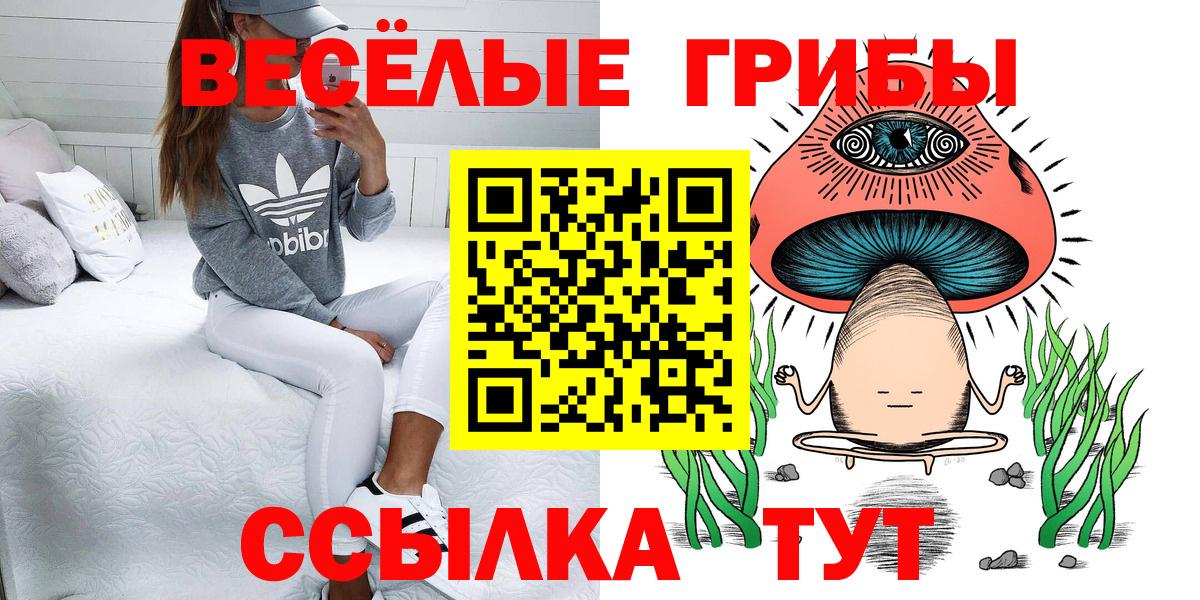 Галлюциногенные грибы Cubensis Рославль