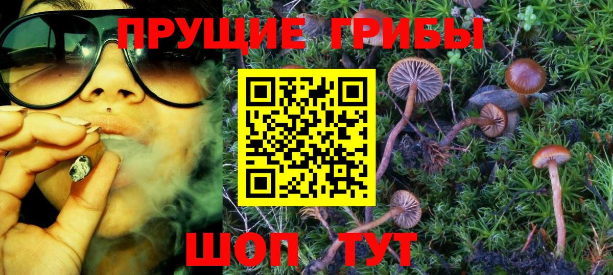 наркота  Вход с VPN  Рославль  Галлюциногенные грибы MAGIC MUSHROOMS 